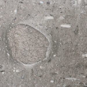 Moon Rock quartzite