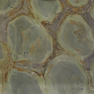 Wasabi quartzite
