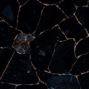 Jasper-black-with-ammonites