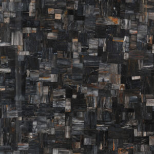 Petrified Wood Black Jurassic