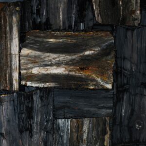 Petrified wood black retro